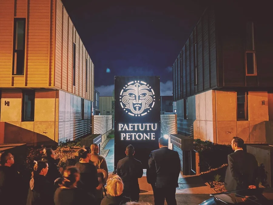 Paetutu Petone Urban Development